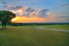 Rose Hill 396