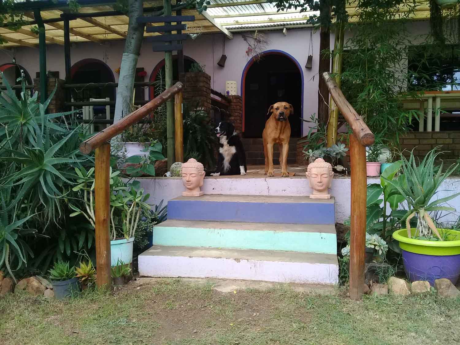 Discover the Ancient Stone Ruins and vanished civilisations of Southern Africa