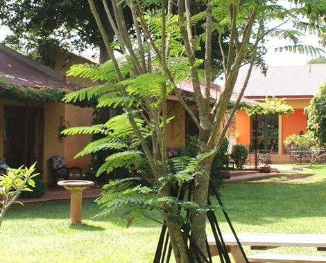 This amazing bush lodge group is a selection of intimate, small sized lodges and camps in Uganda