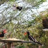 Royston feeding the birds