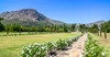 LC franschhoek carousel