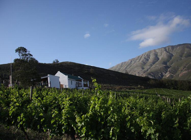 IN THE CENTRE OF EVERYWHERE...