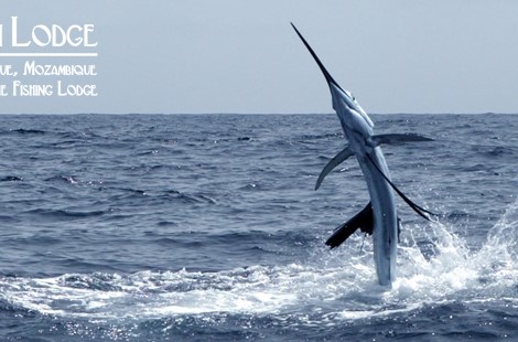 Luxury Fishing Lodge situated on the estuary in Mongue, 17km north of Maxixe, in the province of Inhambane Bay