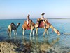 MAR - Marsa Alam  location in Egypt