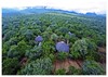 Shik pangolin aerial view