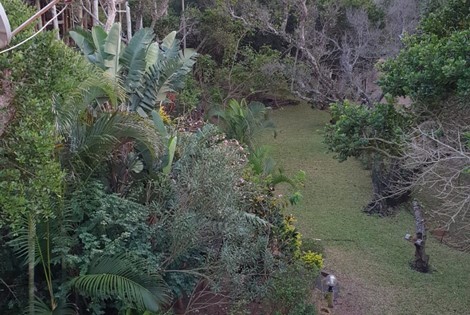 We have two houses in Mozambique available for sale