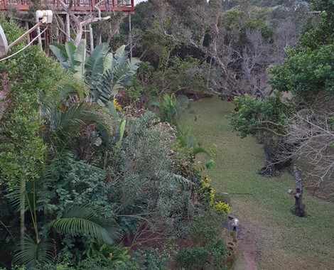 We have two houses in Mozambique available for sale