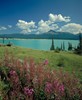 TPC abraham lake alberta