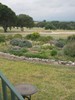 Rose Hill beautiful view from Rosemary