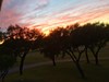 Rose Hill countryside at dusk