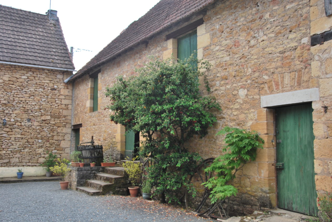 Within the domain of our gîtes located at the gates of Montignac-Lascaux and close to all the most beautiful tourist sites of the Dordogne, we invite you to a serene break 