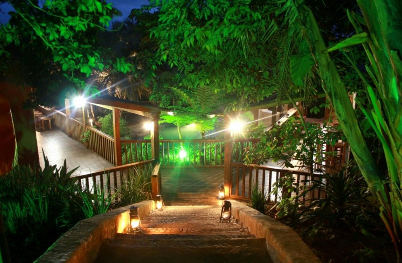 Discover the magic of nature