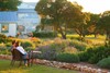 Rose Hill guests enjoy peaceful