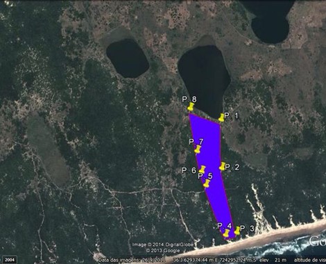 ANTE PROJECT ... A FIVE-STAR LODGE PROJECT IN CHIDENGUELE, XAI XAI, MOZAMBIQUE