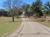 Rose Hill road leading to rose