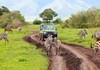 MBR serengeti national park