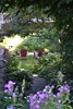 AVL stone pathway garden