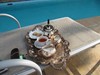 CC tea on arrival