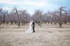 HI wedding and trees