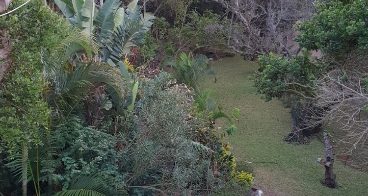 Two-Houses-in-Mozambique_20260615143324.jpeg